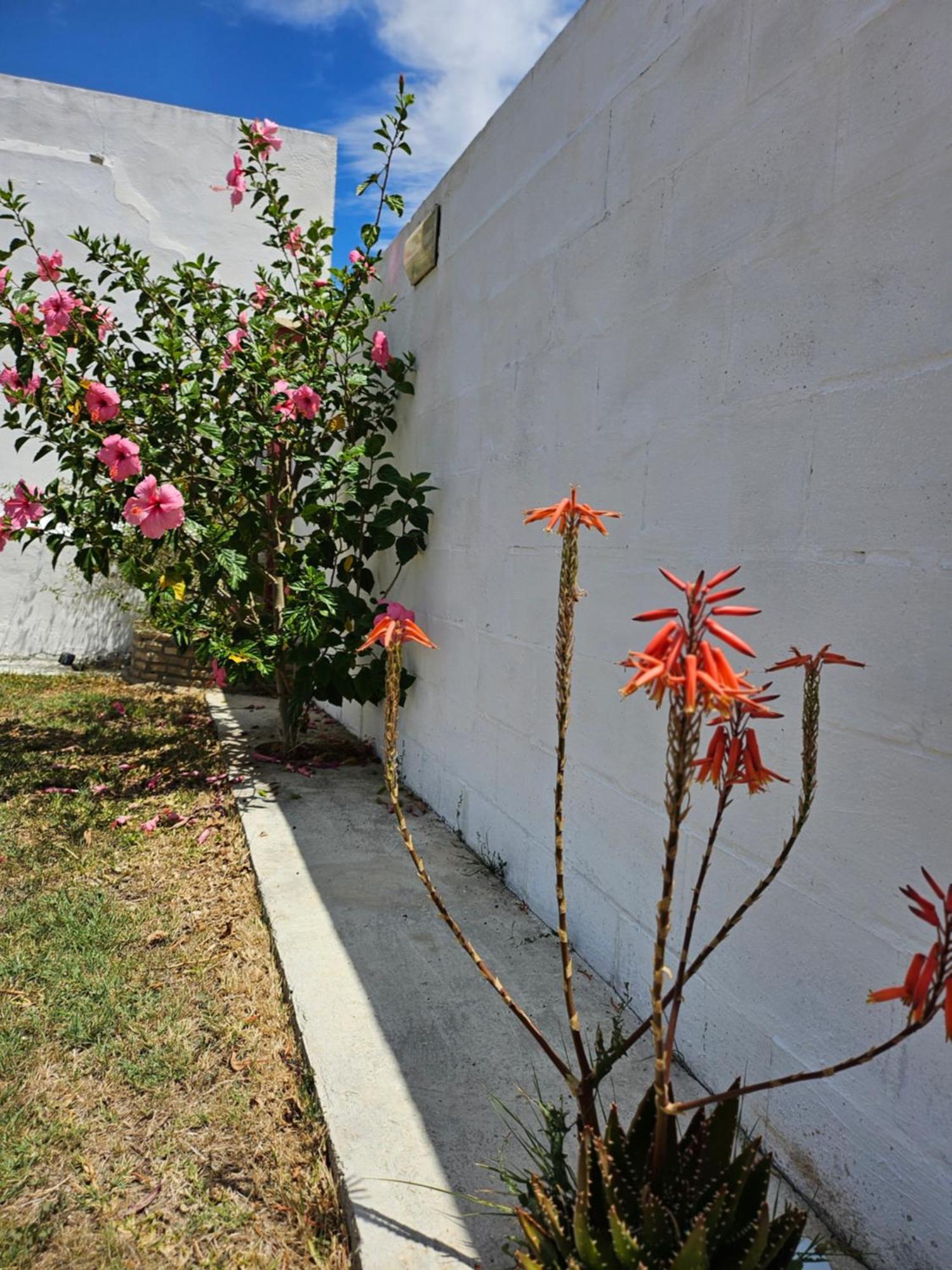 Villa Nonina Chiclana de la Frontera Exteriér fotografie