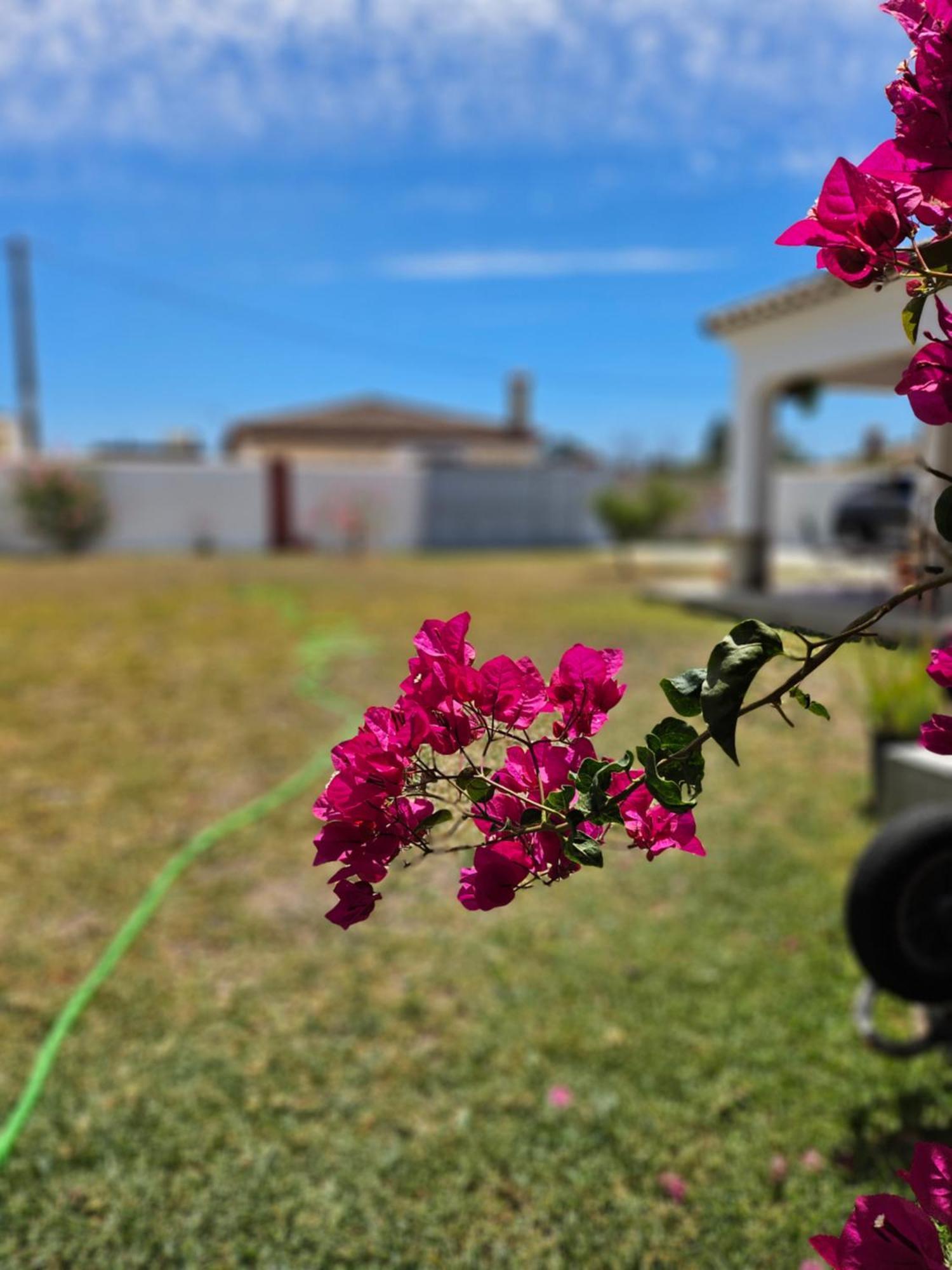 Villa Nonina Chiclana de la Frontera Exteriér fotografie