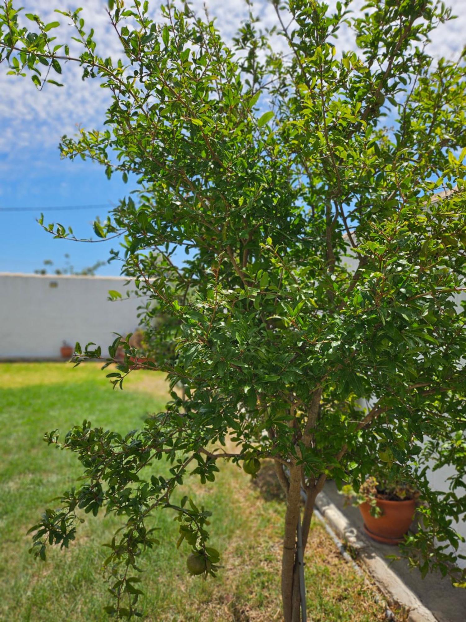 Villa Nonina Chiclana de la Frontera Exteriér fotografie